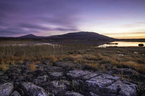 The Burren National Park, co Clare, Ireland