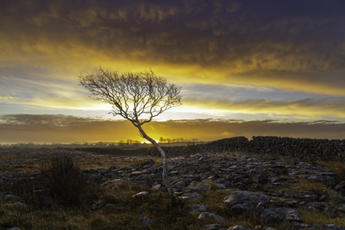 The Burren Lowlands, co Clare, Ireland