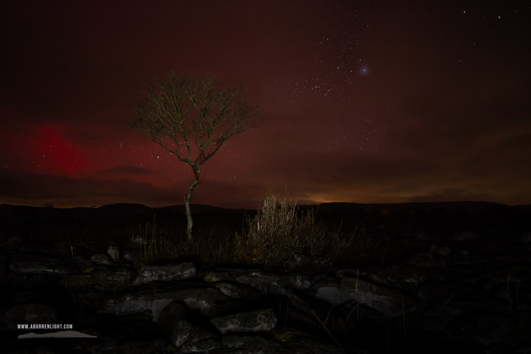 A Burren Lone Tree Clare Ireland - SAR,arc,astro,aurora,january,lone tree,long exposure,lowland,night,winter