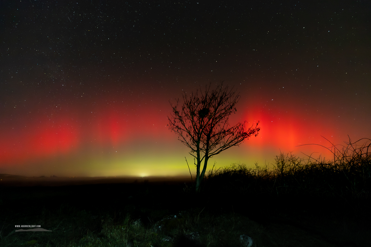 A Burren Lone Tree Clare Ireland - astro,aurora,january,lone tree,lowland,portfolio,night,winter,monthly-pick