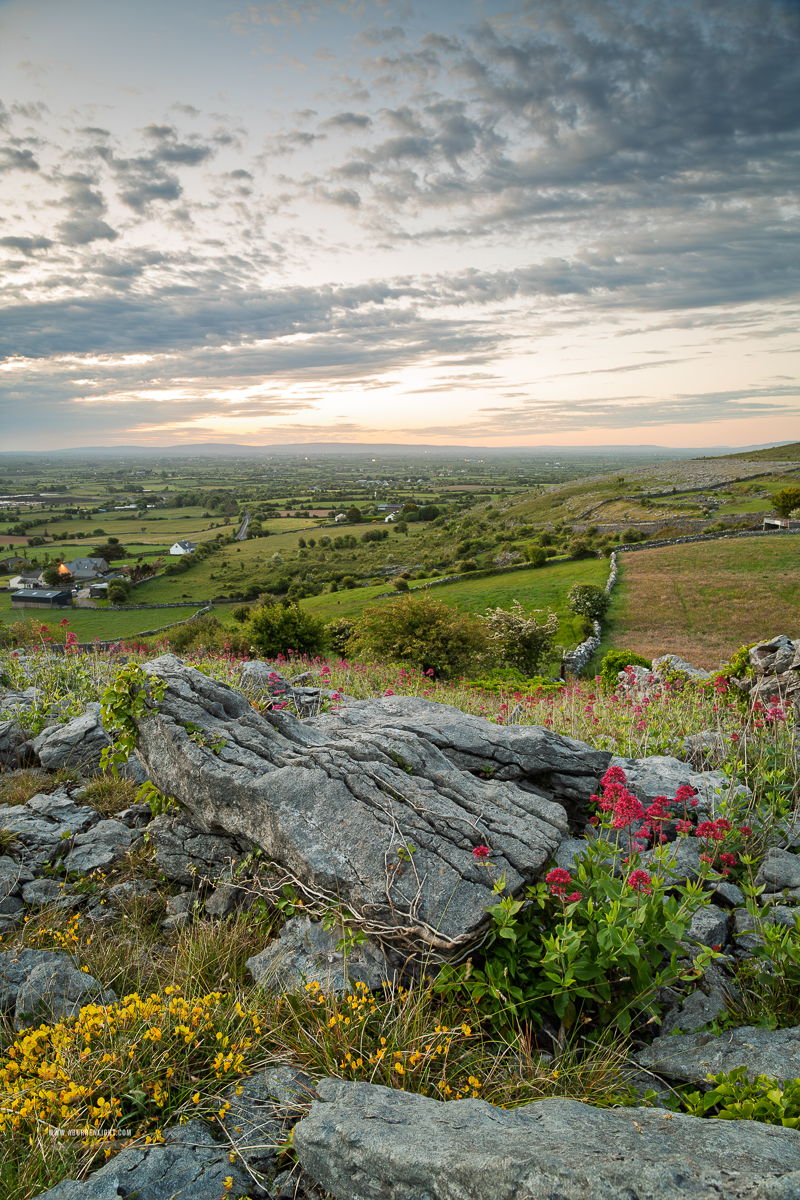 Abbey Hill Burren Clare Ireland - abbey hill,flowers,hills,kivara,may,spring,sunrise,valerian