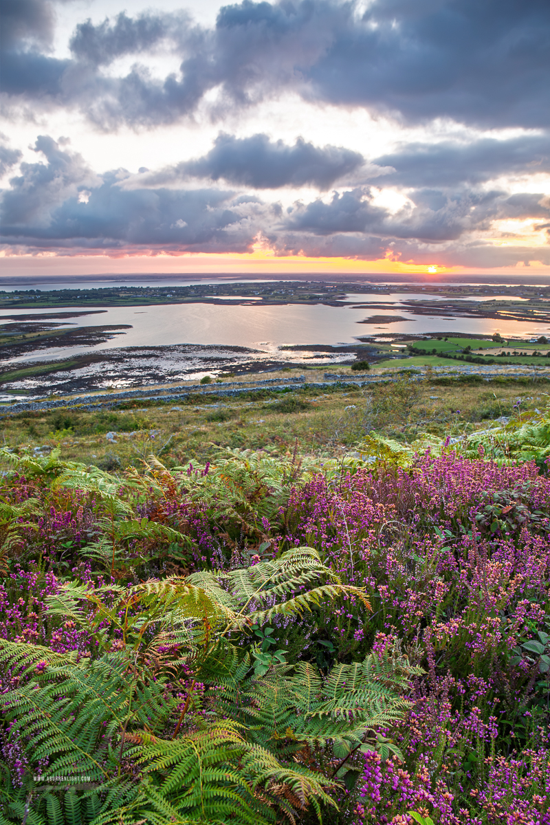 Purple heather and green ferns cover Abbey Hill as warm sunrise light breaks beneath dramatic summer clouds.