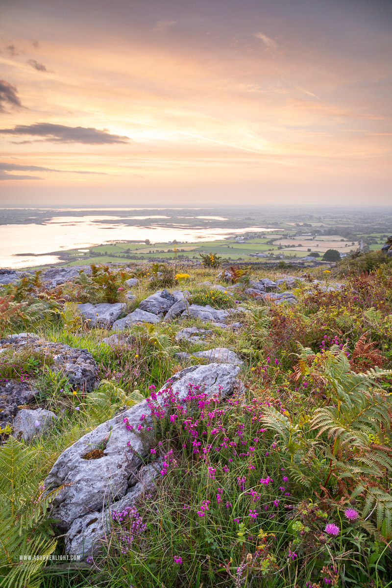 Abbey Hill Burren Clare Ireland - abbey hill,august,flower,heather,summer,sunrise,hills,golden