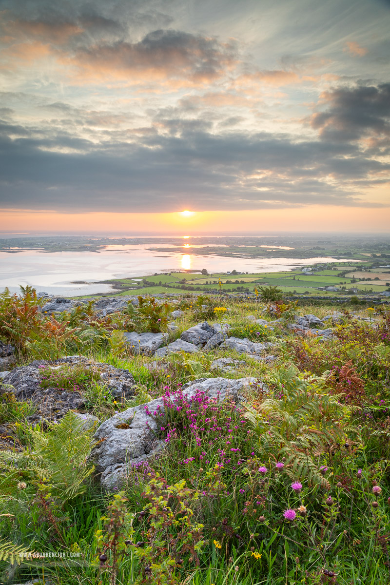 Abbey Hill Burren Clare Ireland - abbey hill,august,flower,heather,summer,hills,golden,portfolio