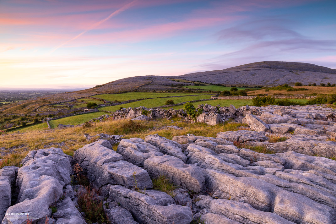 Abbey Hill Burren Clare Ireland - abbey hill,august,flower,summer,twilight,hills,pink