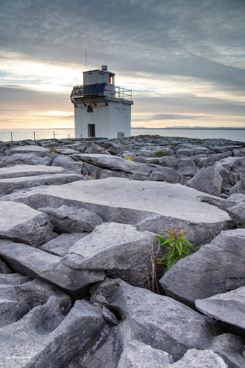 Black Head Fanore Wild Atlantic Way Clare Ireland - black head,flowers,june,landmark,lighthouse,spring,sunset,portfolio,coast