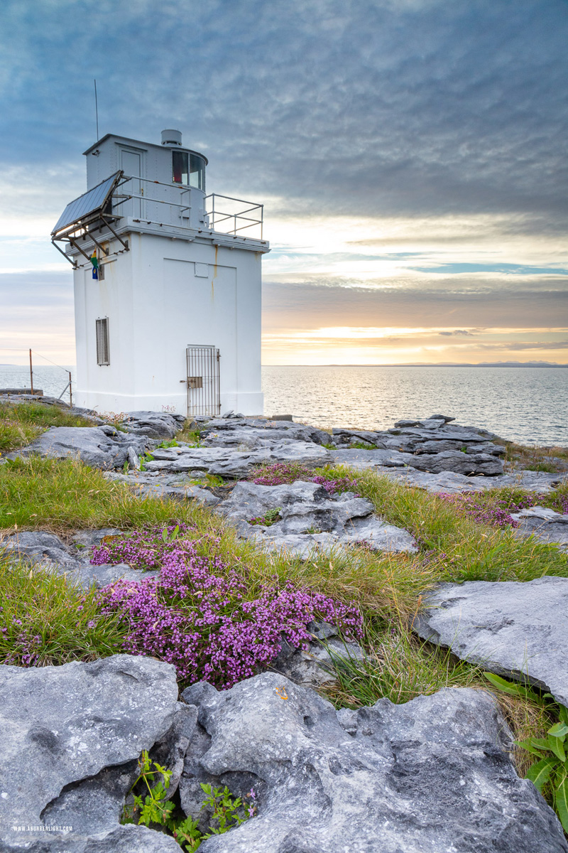 Black Head Fanore Wild Atlantic Way Clare Ireland - black head,flowers,june,landmark,lighthouse,spring,sunset,coast