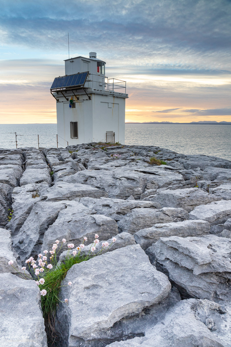 Black Head Fanore Wild Atlantic Way Clare Ireland - black head,flowers,june,landmark,lighthouse,spring,sunset,coast