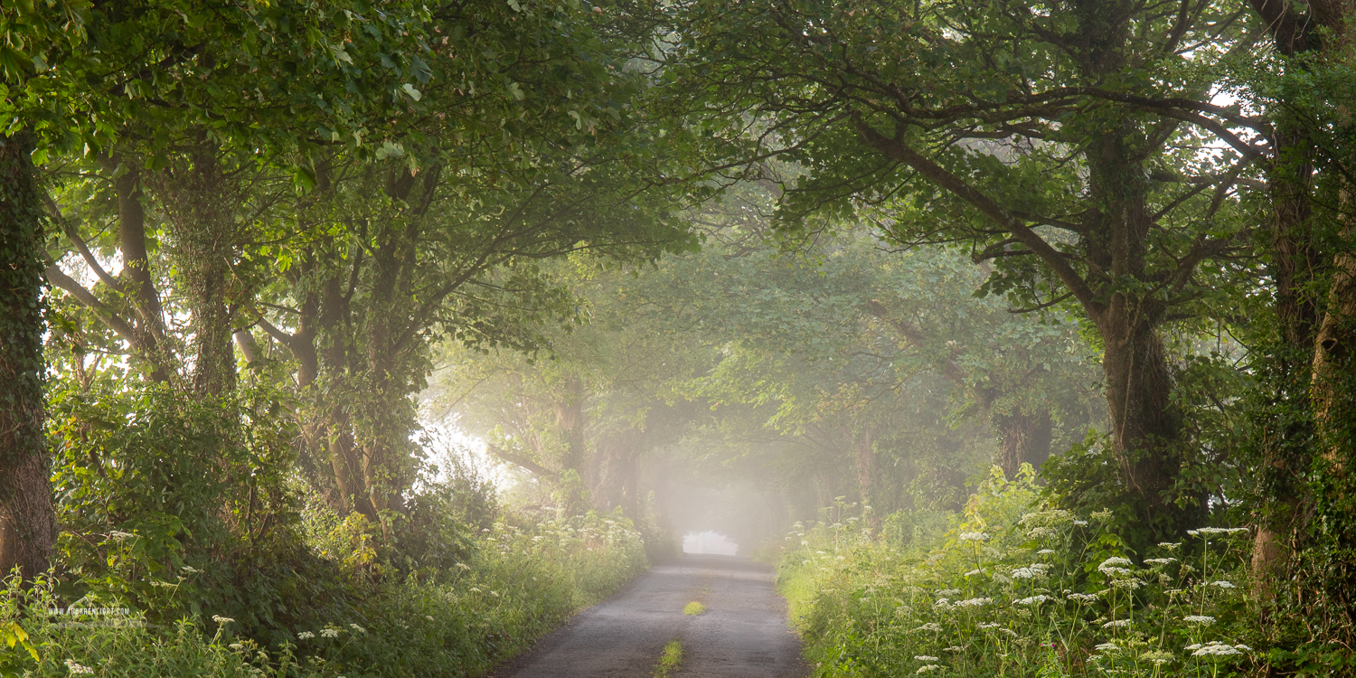 Boston Clare Ireland - boston,july,lowlands,mist,panorama,rockvale,summer,trees