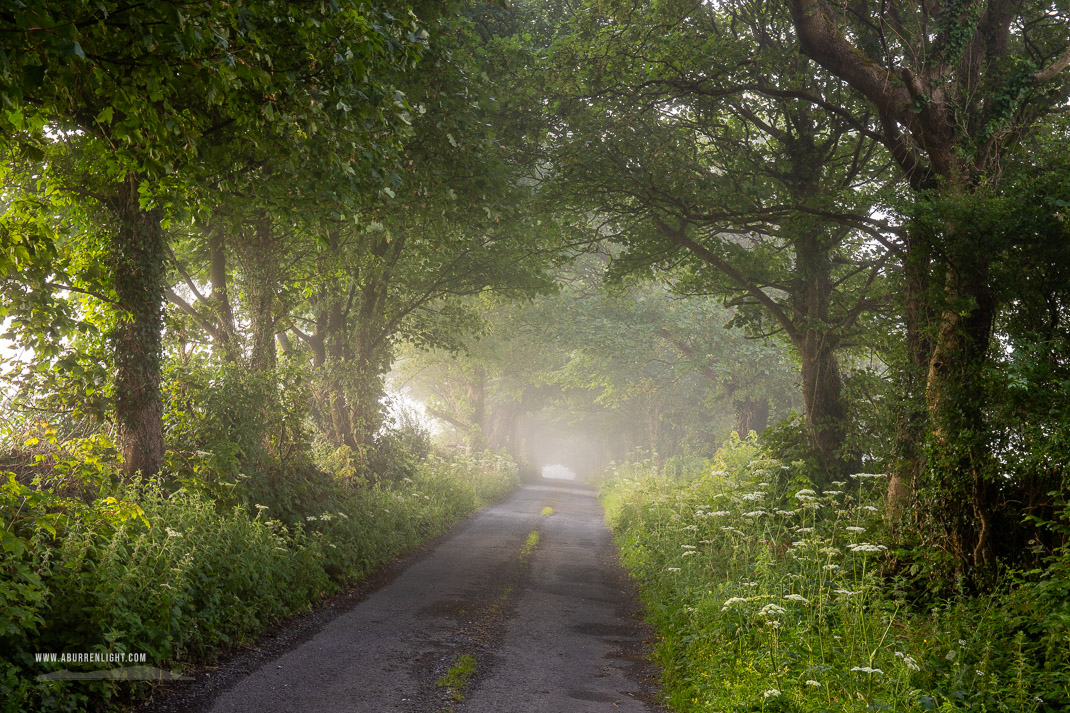 Boston Clare Ireland - boston,july,lowlands,mist,rockvale,summer,trees