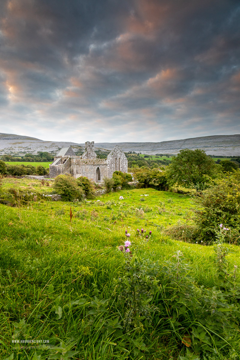 Corcomroe Abbey Glennamannagh valley Clare Ireland - church,corcomroe,flowers,landmark,september,summer,hills,abbey