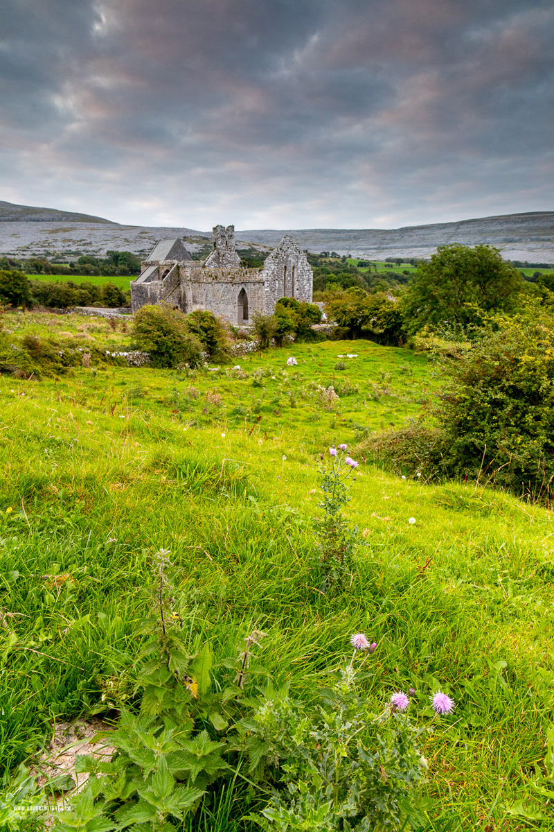 Corcomroe Abbey Glennamannagh valley Clare Ireland - church,corcomroe,flowers,landmark,september,summer,green,hills