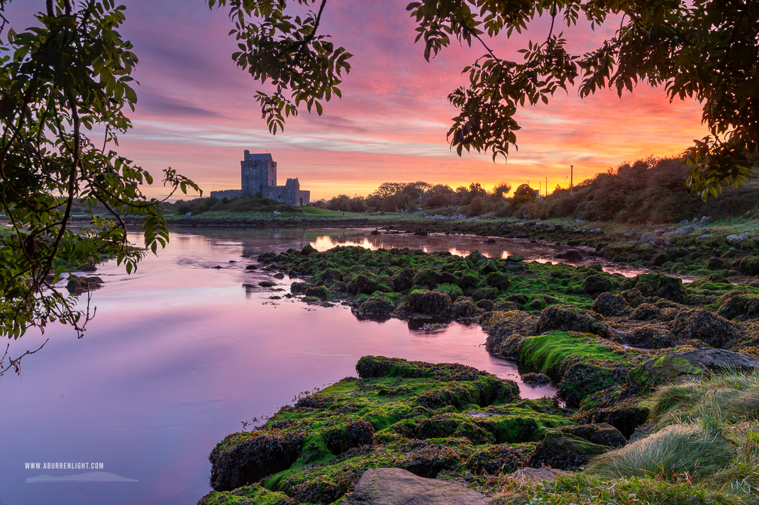 Dunguaire Castle Kinvara Clare Ireland - autumn,birch,castle,dunguaire,kinvara,long exposure,purple,september,twilight,portfolio,coast