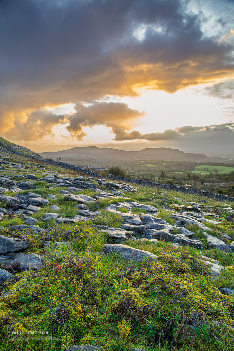 Fahee North Carron Burren East Clare Ireland - fahee,golden,hills,september,summer,sunrise,walls