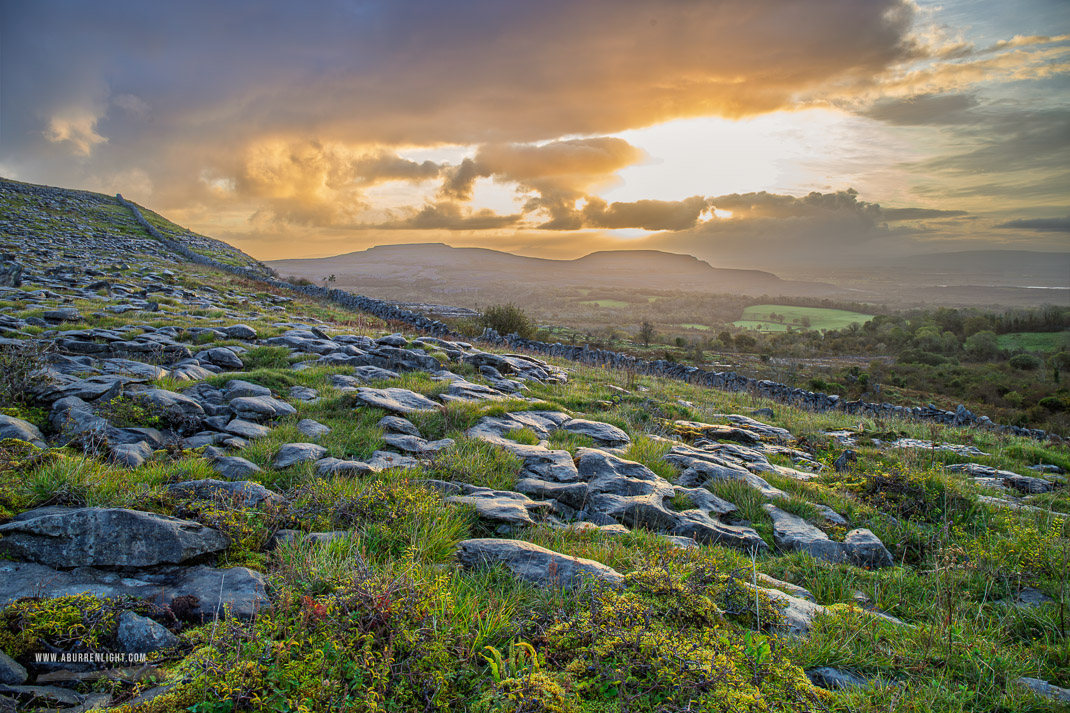 Fahee North Carron Burren East Clare Ireland - fahee,golden,hills,september,summer,sunrise,wall