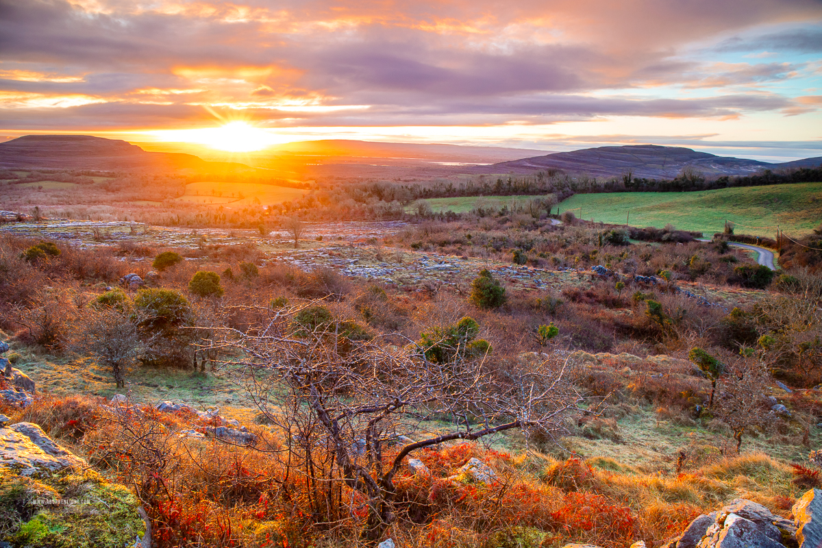 Fahee North Carron Burren East Clare Ireland - fahee,frost,golden,lone tree,march,orange,pick-hills,portfolio,sunrise,sunstar,winter