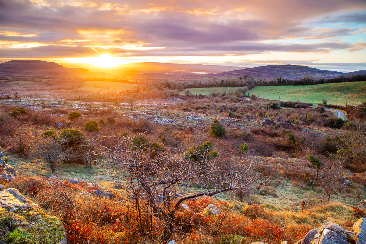 Fahee North Carron Burren East Clare Ireland - fahee,frost,golden,lone tree,march,orange,pick-hills,sunrise,sunstar,winter