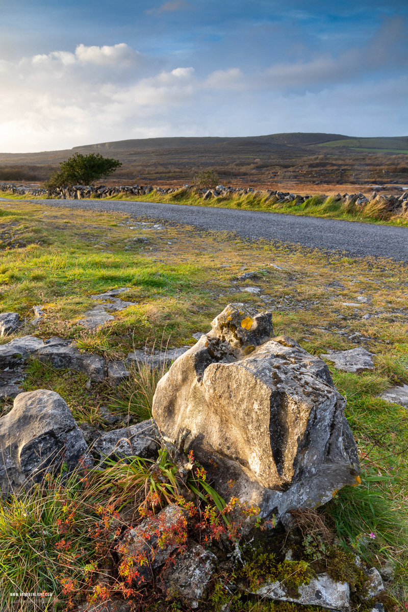 Mullaghmore Burren National Park Clare Ireland - mullaghmore,october,winter,park,golden,pick-park