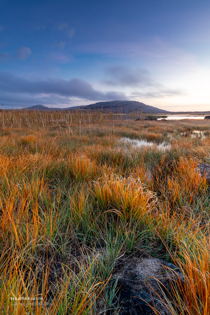 Mullaghmore Burren National Park Clare Ireland - autumn,golden,mullaghmore,october,park,twilight