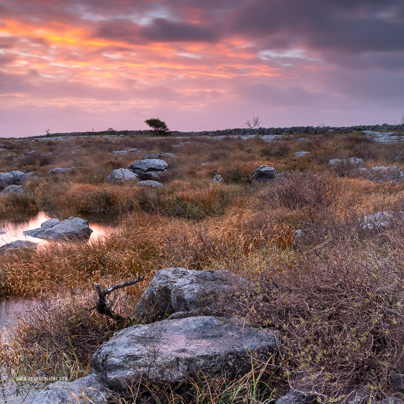 Mullaghmore Burren National Park Clare Ireland - long exposure,mullaghmore,november,park,pink,square,sunrise,winter
