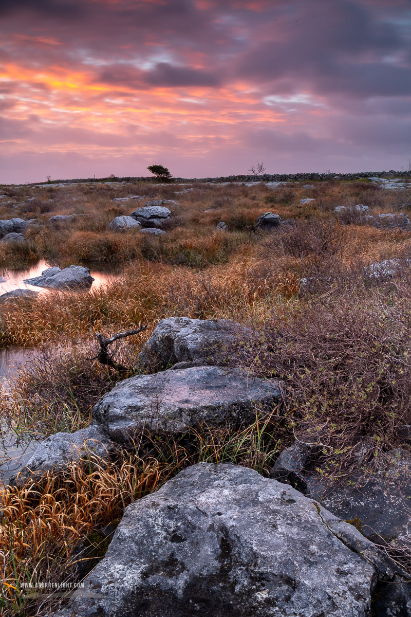 Mullaghmore Burren National Park Clare Ireland - limited,long exposure,mullaghmore,november,pink,sunrise,winter,park,portfolio