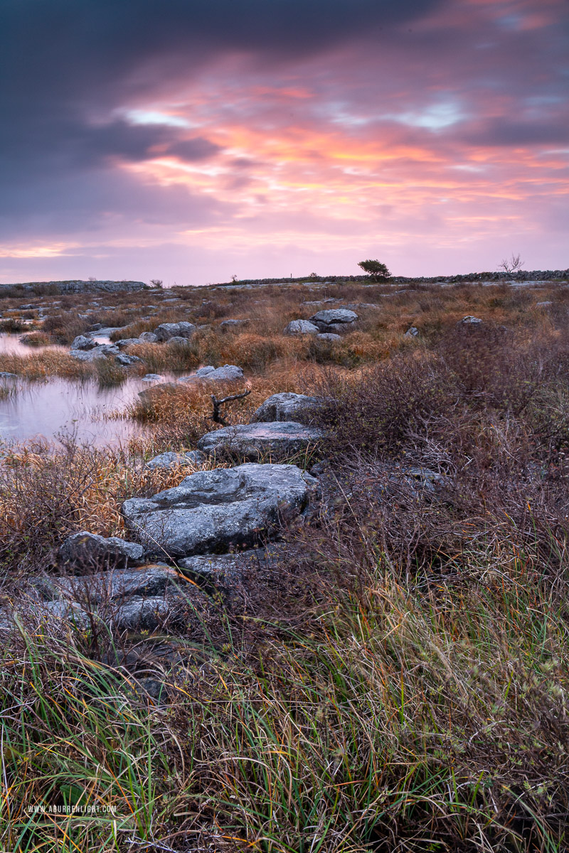Mullaghmore Burren National Park Clare Ireland - long exposure,mullaghmore,november,pink,sunrise,winter,park