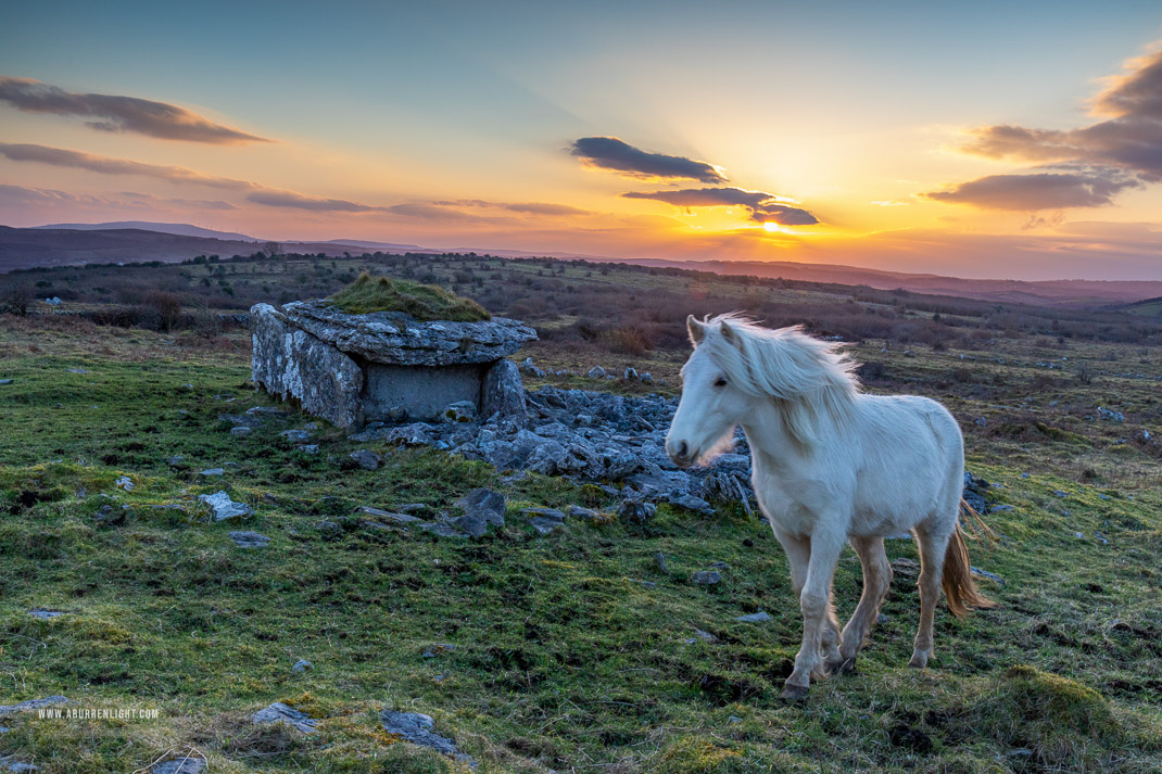Parknabinnia Wedge Tomb Roughan Hill Kilnaboy Burren Clare Ireland - animal,february,golden hour,horse,parknabinnia,roughan,sunset,winter,hills