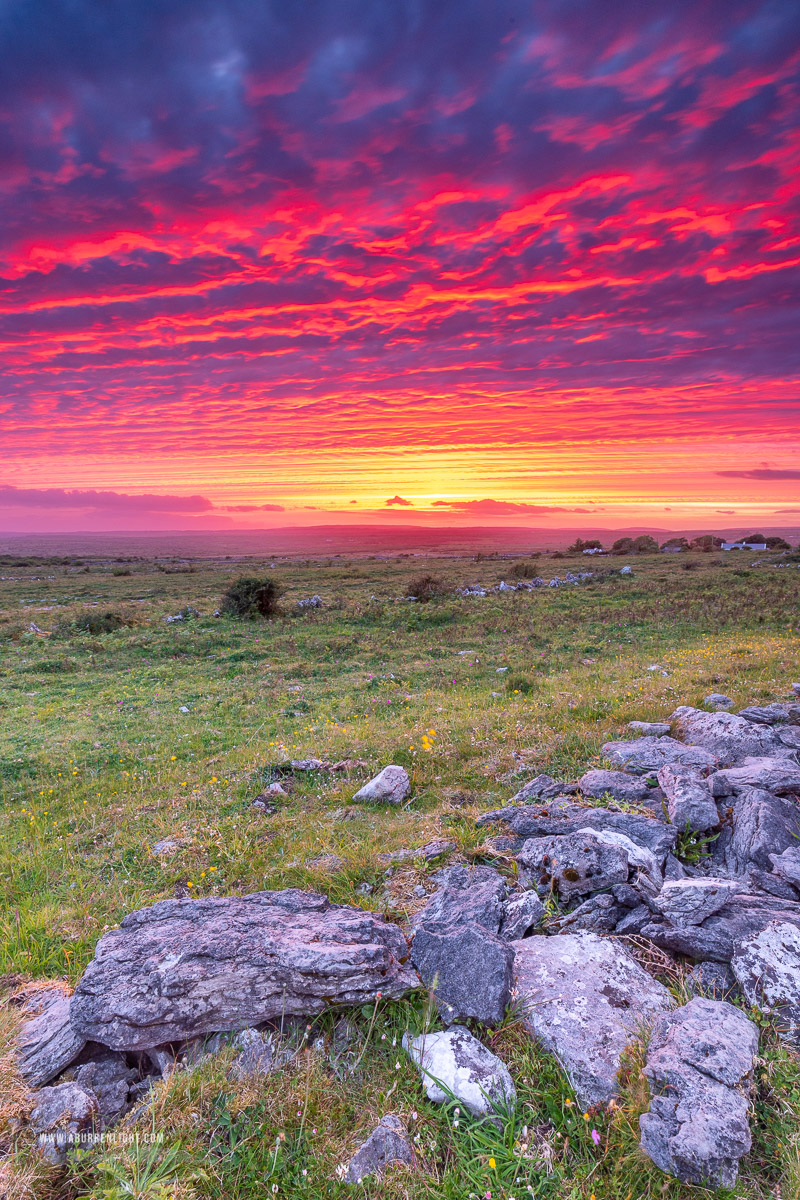 Parknabinnia Wedge Tomb Roughan Hill Kilnaboy Burren Clare Ireland - dusk,june,landmark,parknabinnia,pink,purple,roughan,spring,sunset,hills