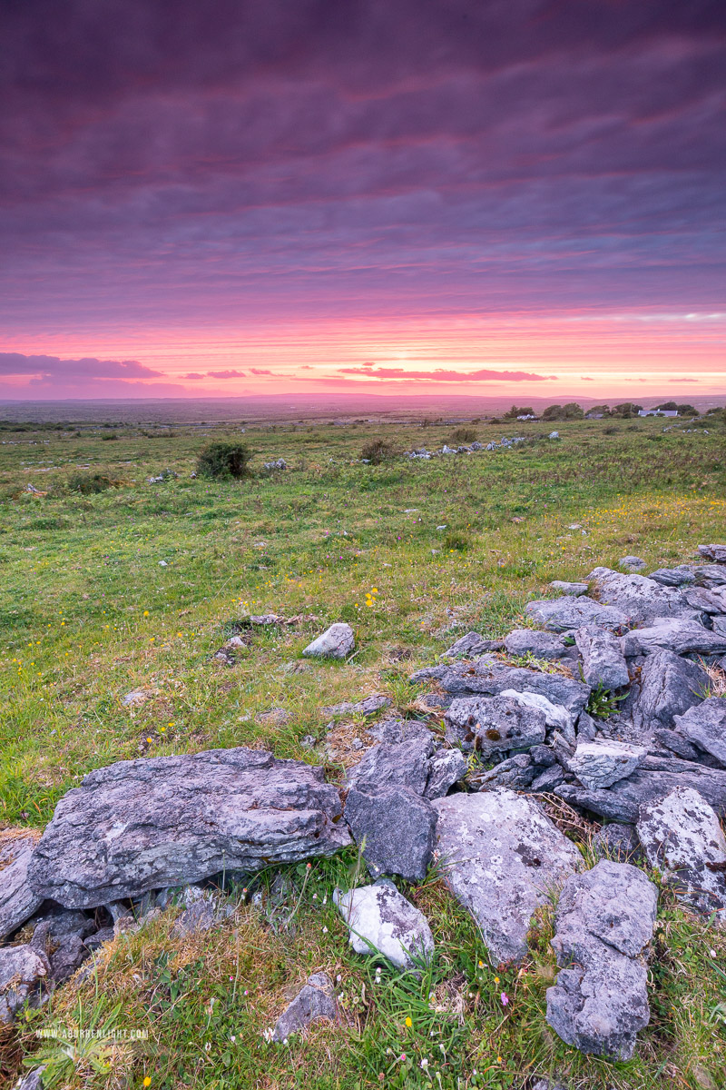 Parknabinnia Wedge Tomb Roughan Hill Kilnaboy Burren Clare Ireland - dusk,june,landmark,parknabinnia,purple,roughan,spring,sunset,magenta,hills