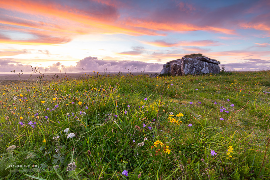 Parknabinnia Wedge Tomb Roughan Hill Kilnaboy Burren Clare Ireland - august,flower,parknabinnia,pink,summer,sunset,tomb,portfolio,hills