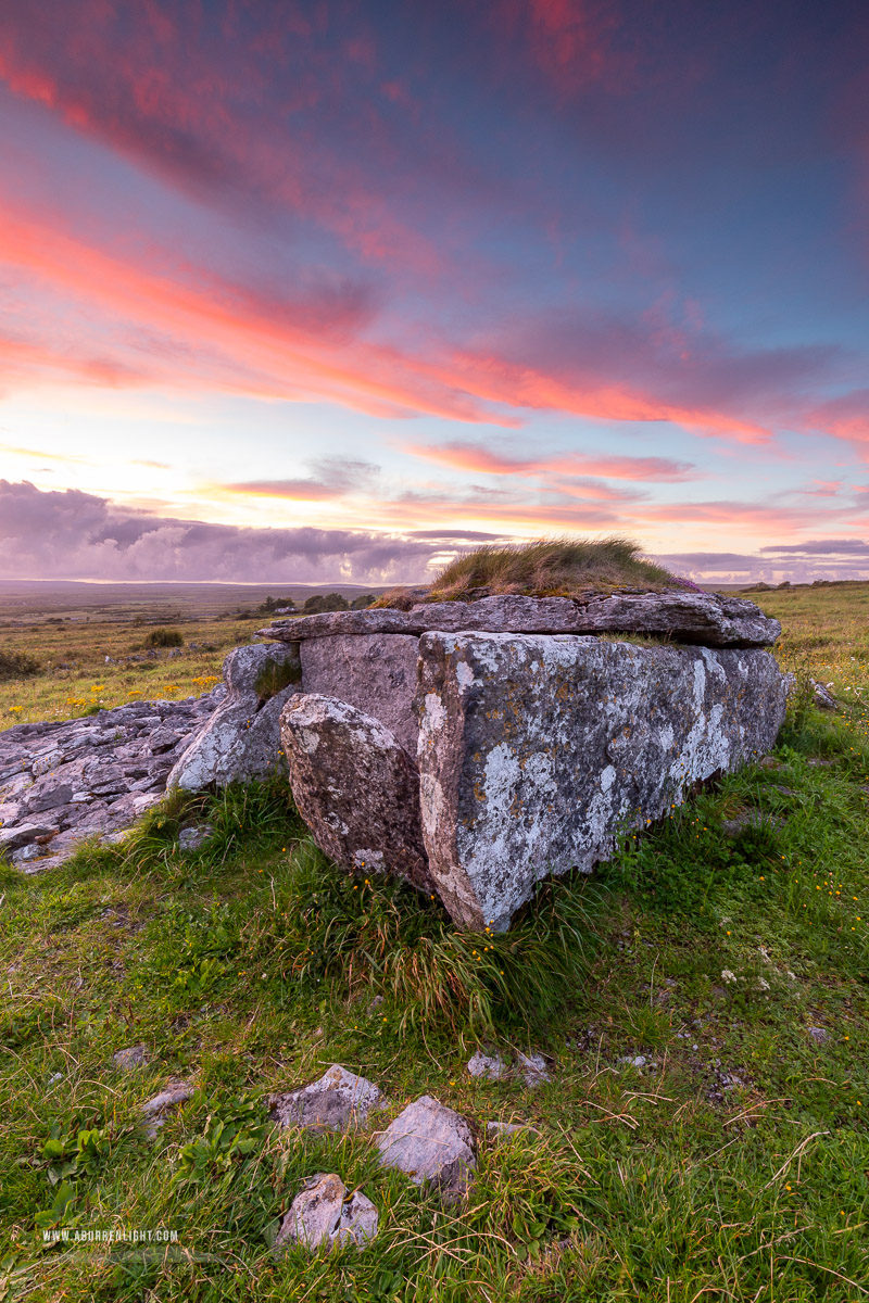 Parknabinnia Wedge Tomb Roughan Hill Kilnaboy Burren Clare Ireland - august,flower,parknabinnia,pink,summer,sunset,tomb,hills