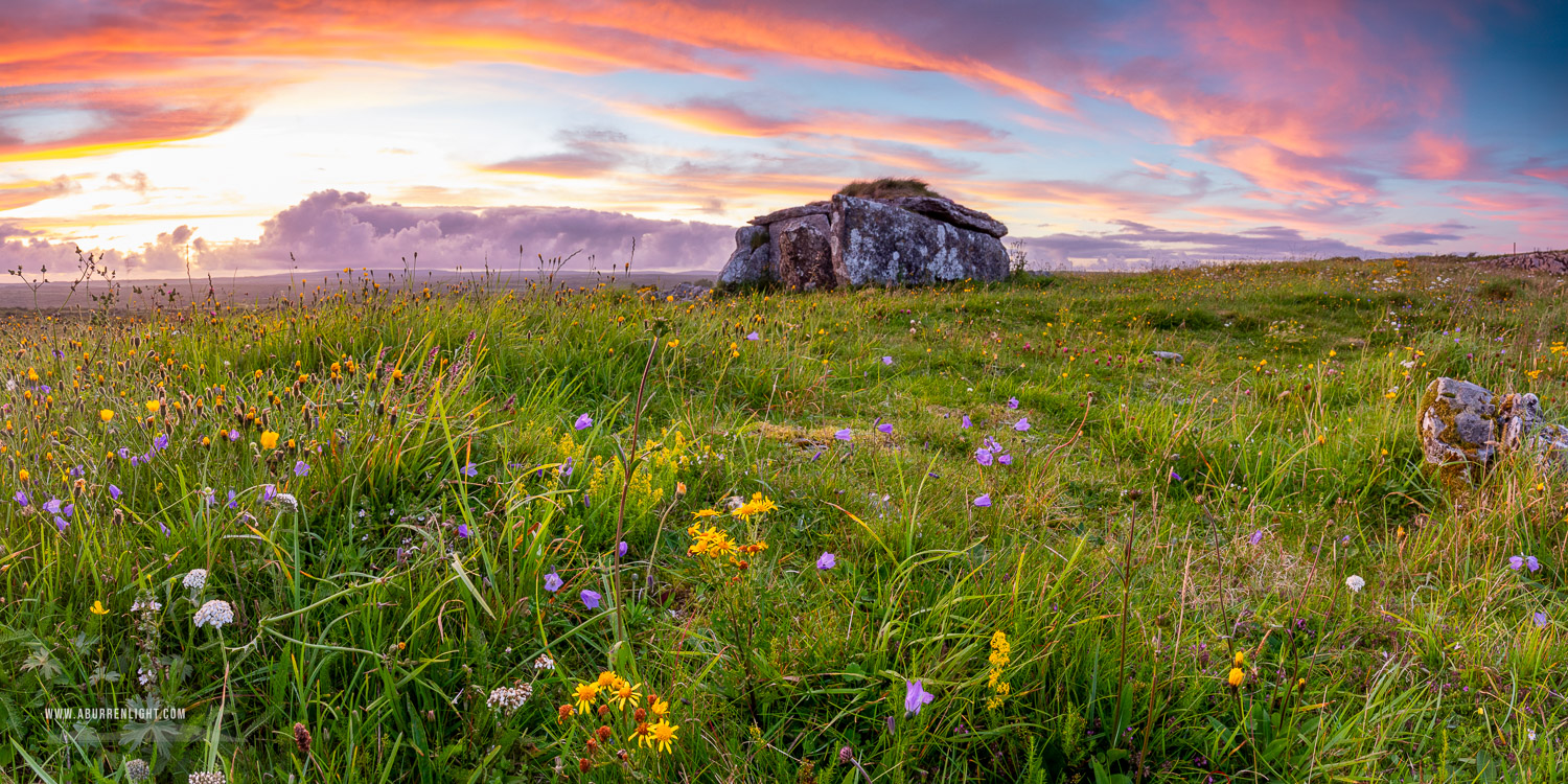 Parknabinnia Wedge Tomb Roughan Hill Kilnaboy Burren Clare Ireland - august,flower,panorama,parknabinnia,pink,summer,sunset,tomb,hills