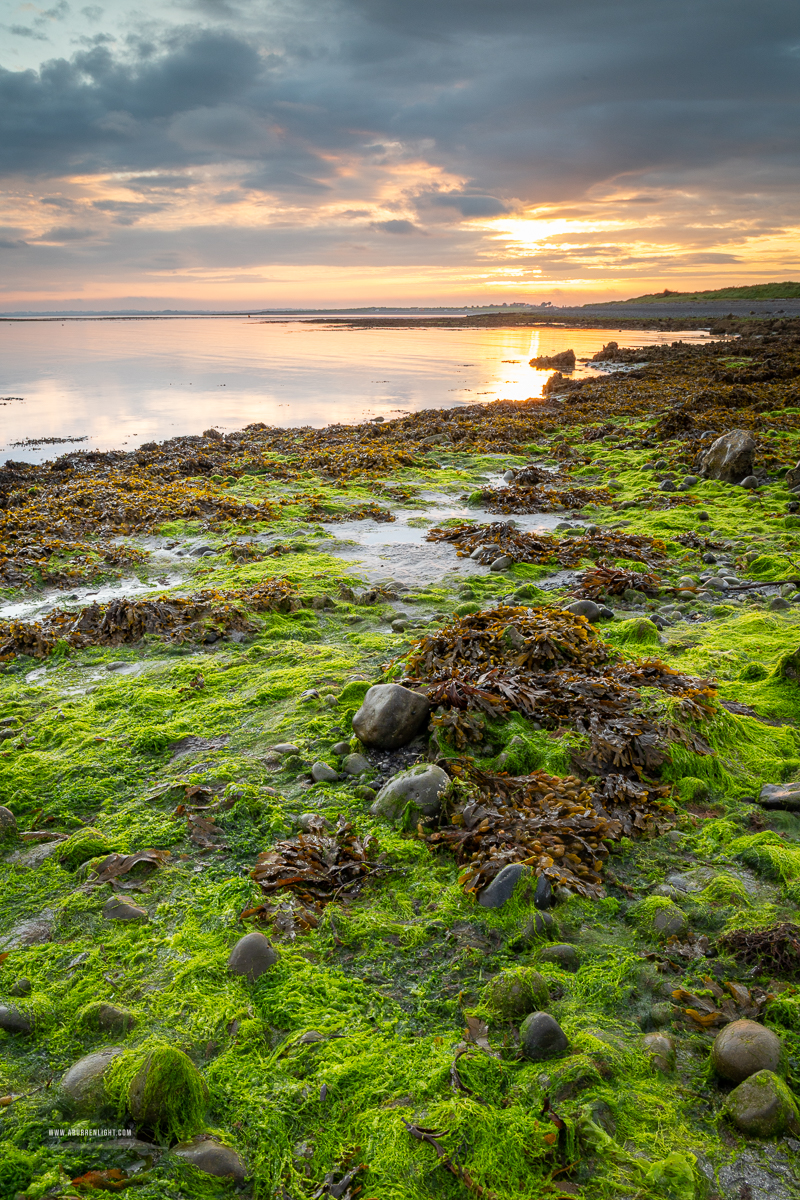 Rosshill Beach Aughinigh Peninsula Kinvara Wild Atlantic Way Clare Ireland - algae,coast,rosshill,september,summer,sunrise