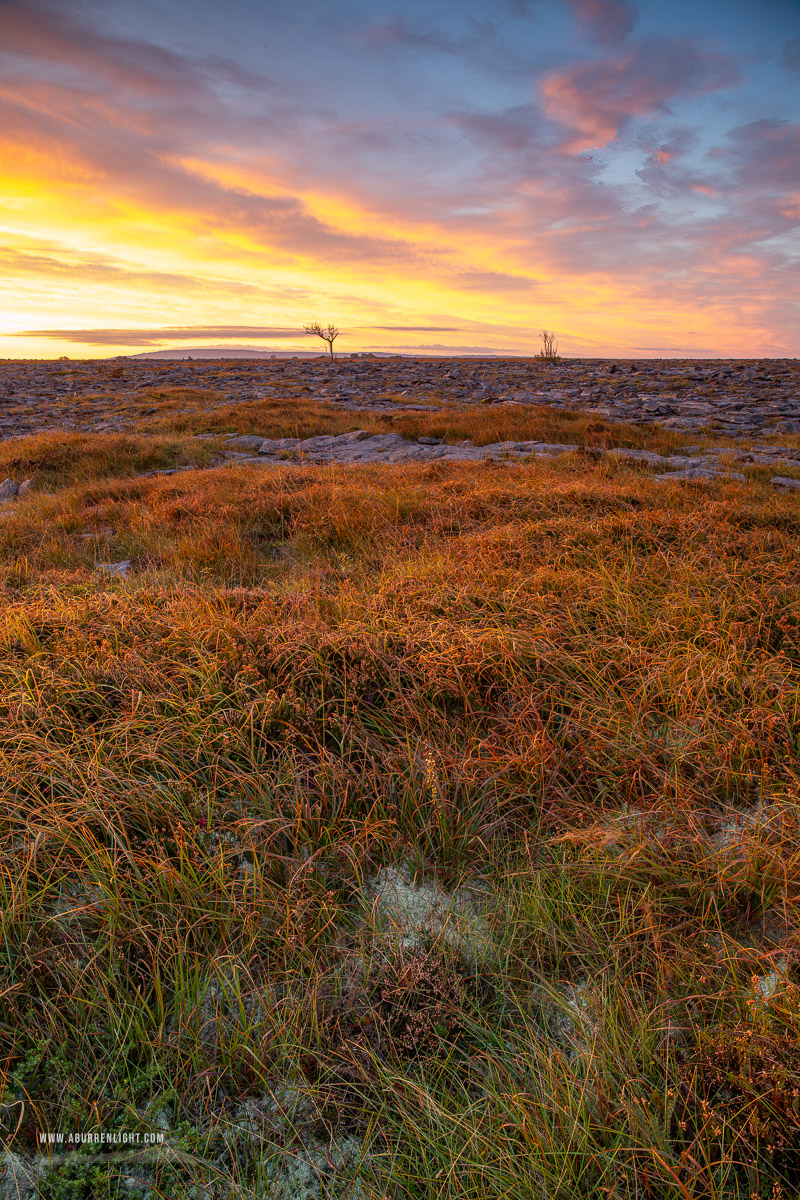 The Burren Clare Ireland - autumn,golden,lowlands,red,september,sunrise