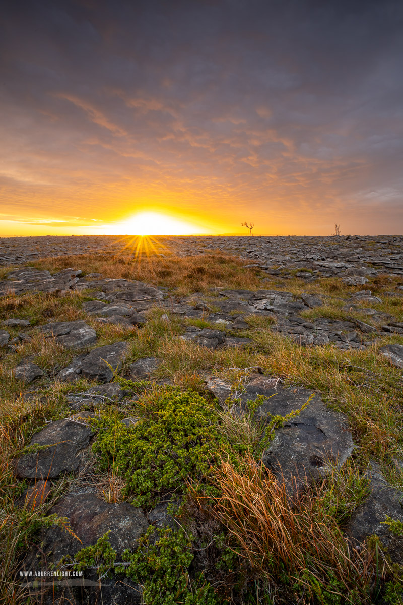 The Burren Clare Ireland - autumn,golden,lowlands,october,pick-lowland,sunrise,sunstar