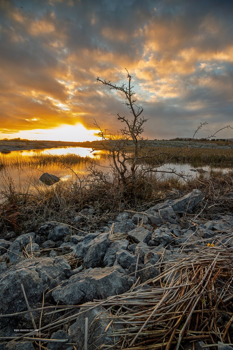 The Burren Clare Ireland - golden,january,lowland,reflections,sunset,winter