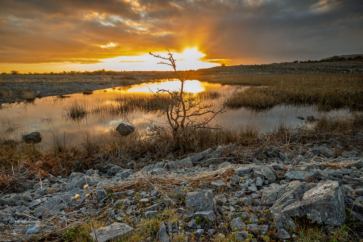 The Burren Clare Ireland - golden,january,lowland,reeds,reflections,sunset,winter