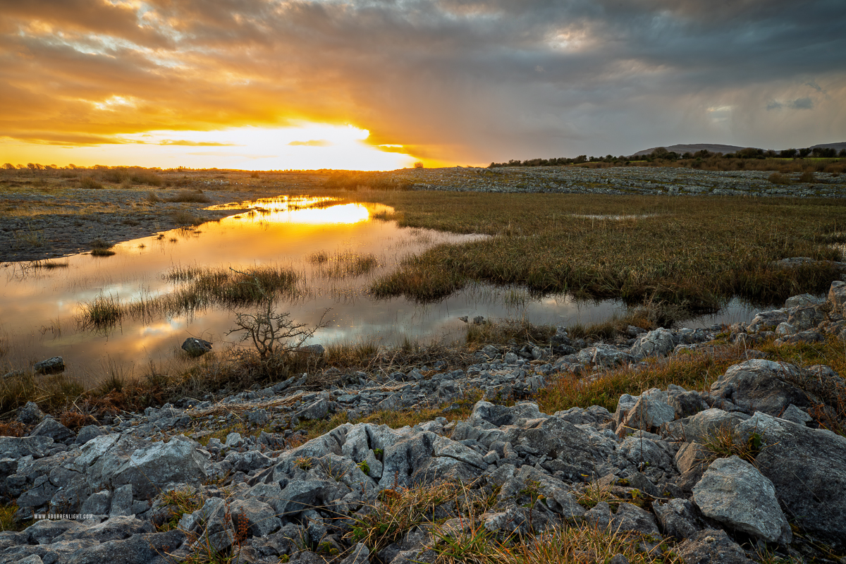 The Burren Clare Ireland - golden,january,lowland,reeds,reflections,sunset,winter