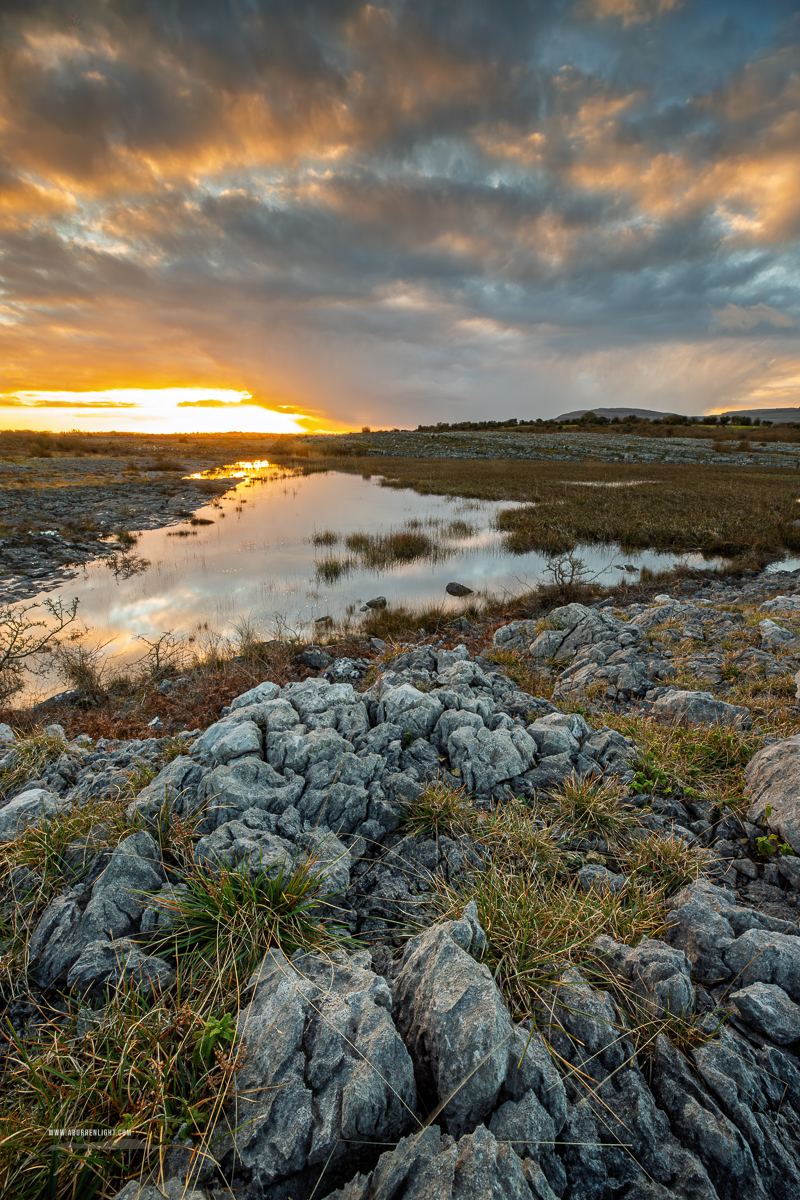 The Burren Clare Ireland - golden,january,lowland,pick-lowland,reeds,reflections,sunset,winter