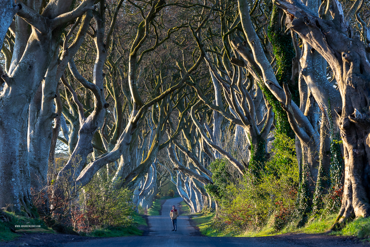 The Burren Clare Ireland - blog