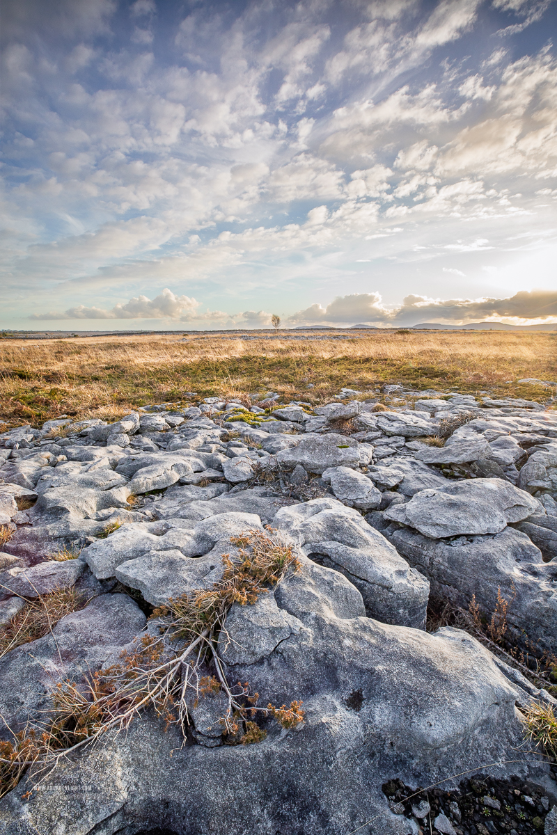The Burren Clare Ireland - dreamy,evening,golden,lowlands,march,sunset,winter