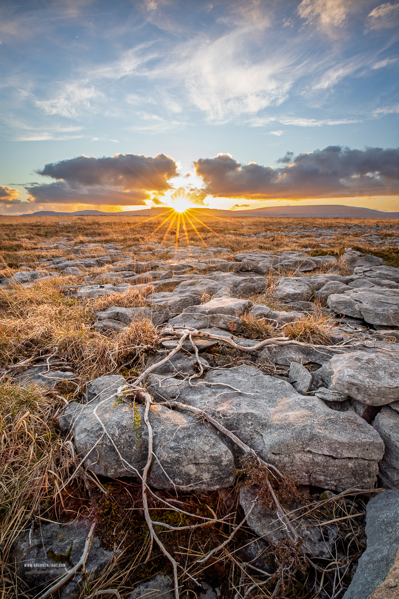 The Burren Clare Ireland - evening,golden,lowlands,march,roots,sunset,sunstar,winter,pick-lowland