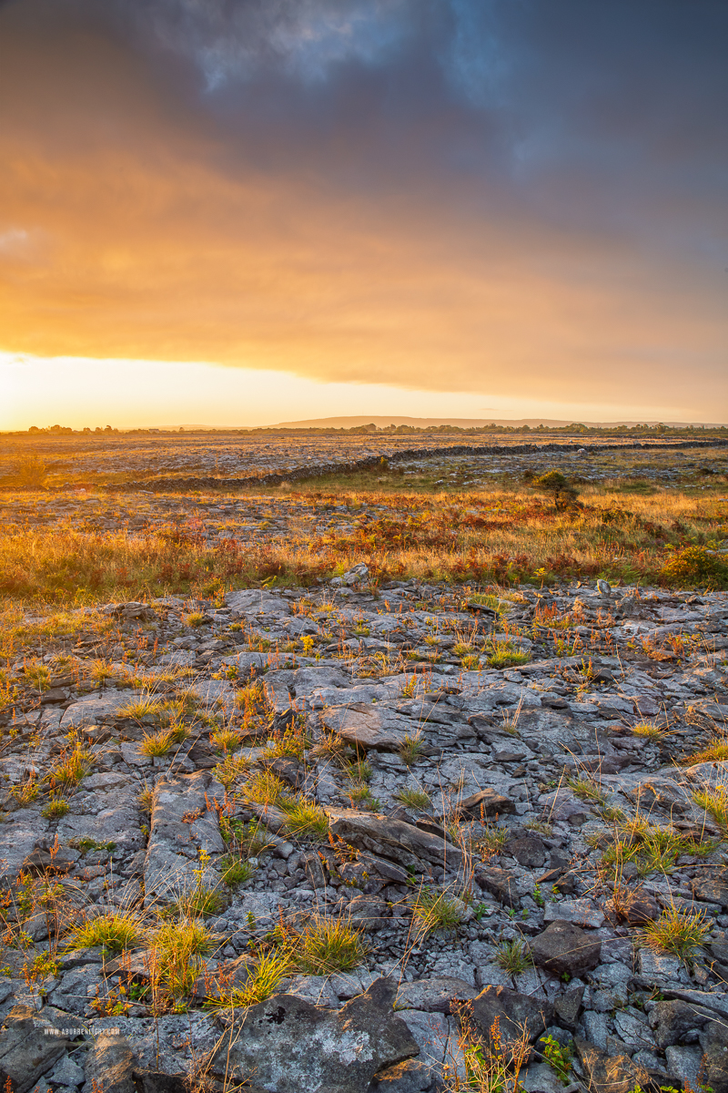 Golden dawn light crossing weathered limestone pavement and dry grasses in the Burren