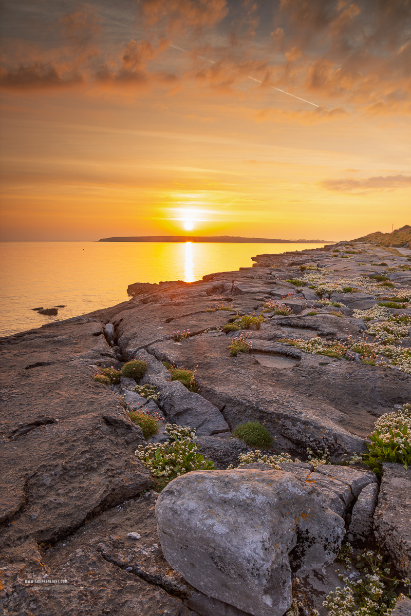 The Flaggy Shore Kinvara Wild Atlantic Way Clare Ireland - april,coast,flaggy shore,flowers,orange,pick-coast,spring,sunrise,thrift