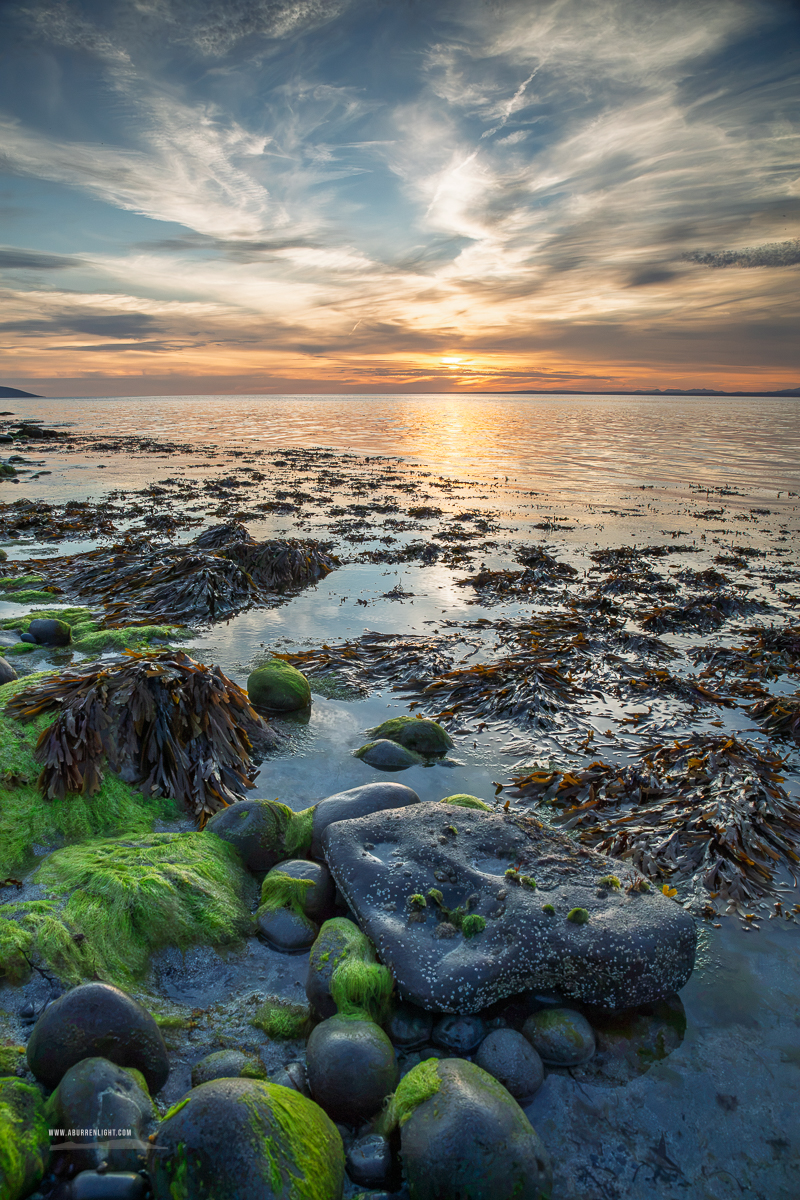 Green algae-covered boulders, seaweed and tidal pools glow beneath a golden sunset on the Flaggy Shore near Kinvara.