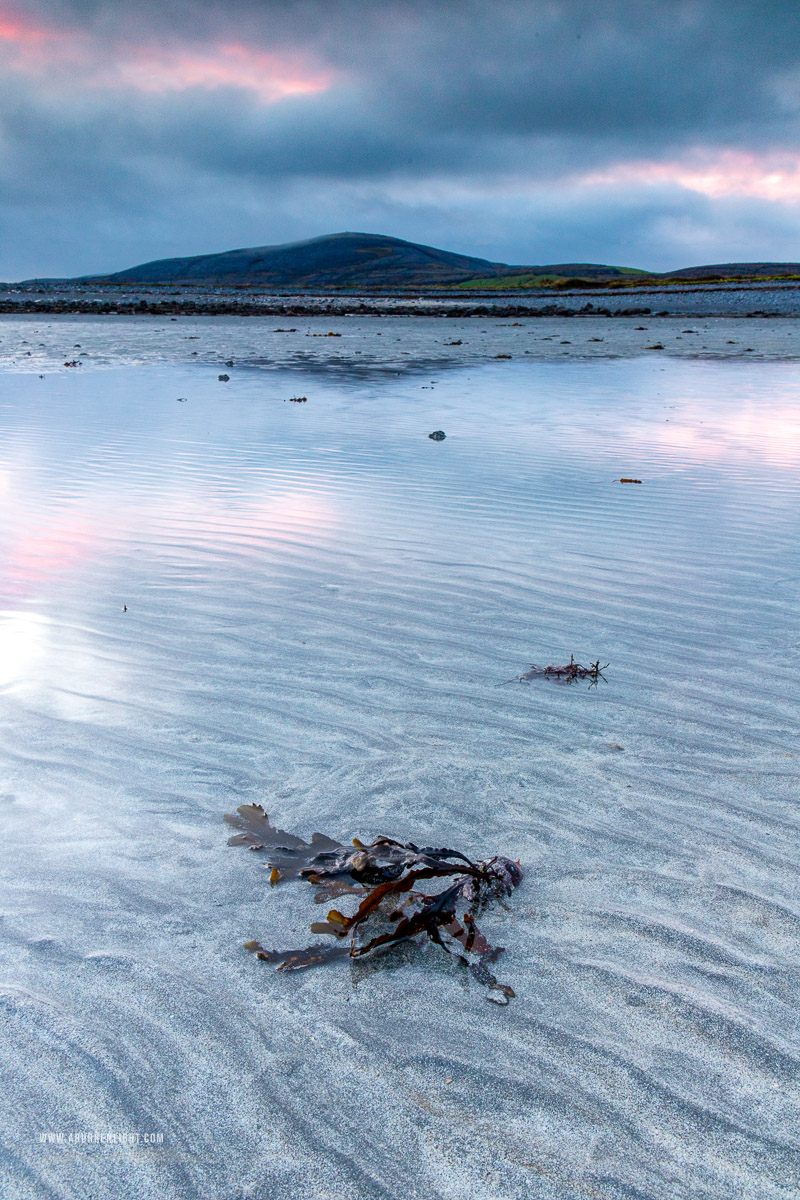 The Aughinish peninsula Wild Atlantic Way Kinvara Clare Ireland - aughinish,january,long exposure,pink,sand ripples,sunrise,winter,coast