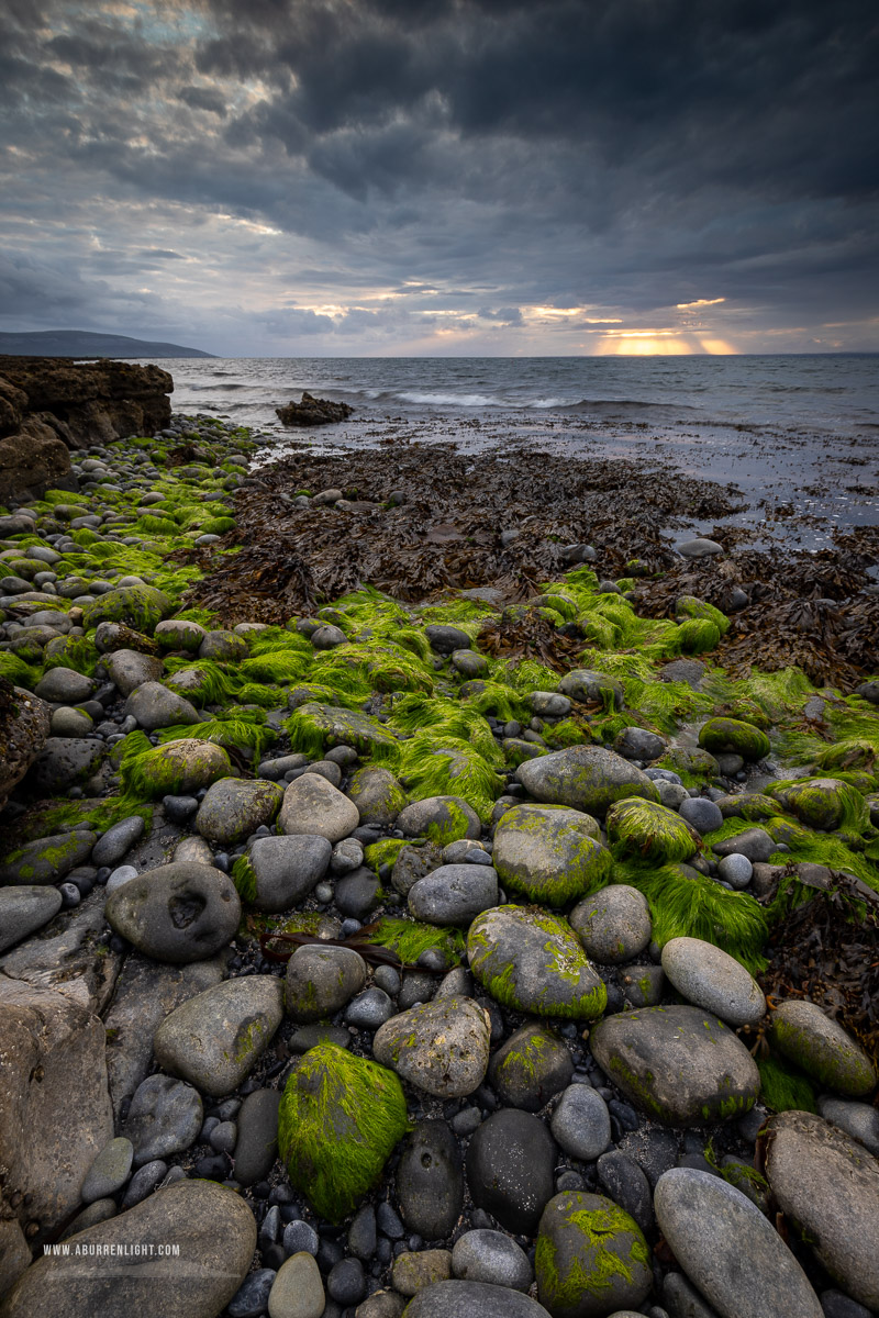 The Flaggy Shore Kinvara Wild Atlantic Way Clare Ireland - flaggy shore,green algae,july,summer,sunset,coast,drama