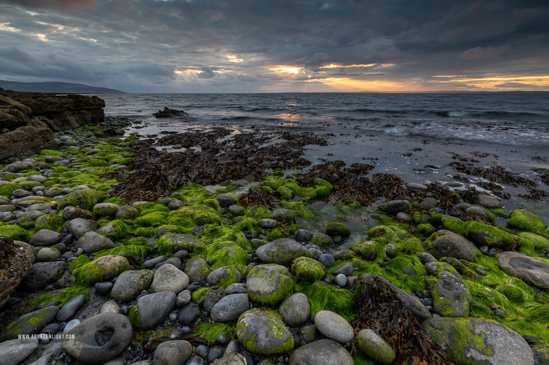 The Flaggy Shore Kinvara Wild Atlantic Way Clare Ireland - flaggy shore,green algae,july,summer,sunset,coast,drama