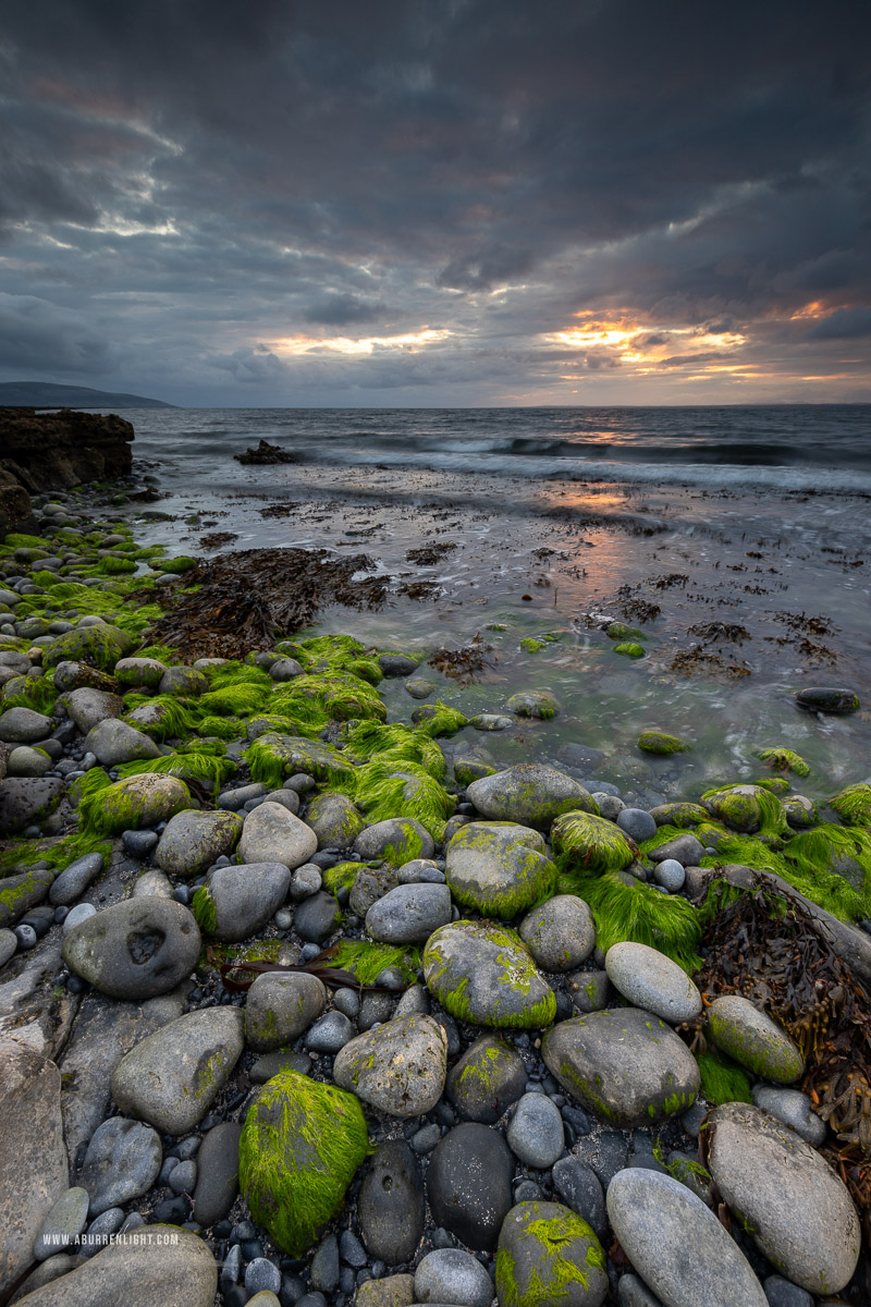 The Flaggy Shore Kinvara Wild Atlantic Way Clare Ireland - flaggy shore,green algae,july,summer,sunset,coast,drama,grey