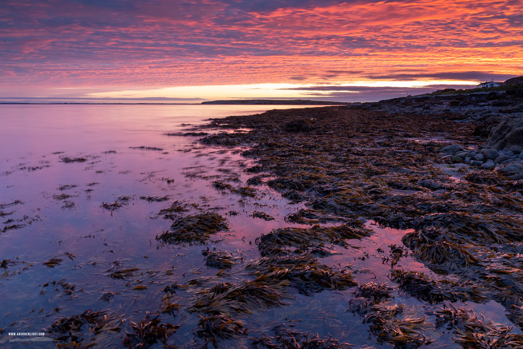 The Flaggy Shore Kinvara Wild Atlantic Way Clare Ireland - autumn,flaggy shore,long exposure,october,red,twilight,coast